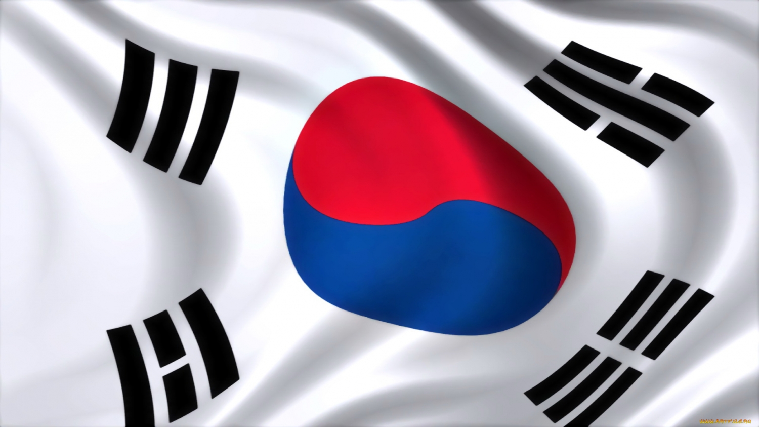 Ввоз животных в Южную Корею: документы и требования