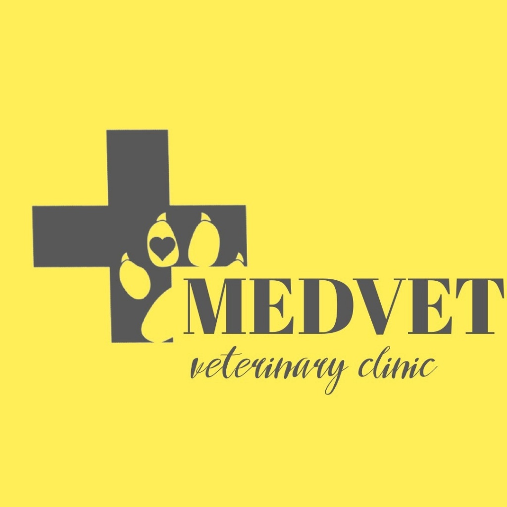Новая клиника-партнер «MedVet»