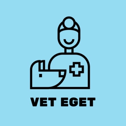 Ветеринарная клиника «Вет Эгет»